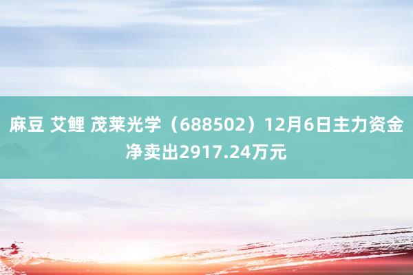 麻豆 艾鲤 茂莱光学（688502）12月6日主力资金净卖出2917.24万元