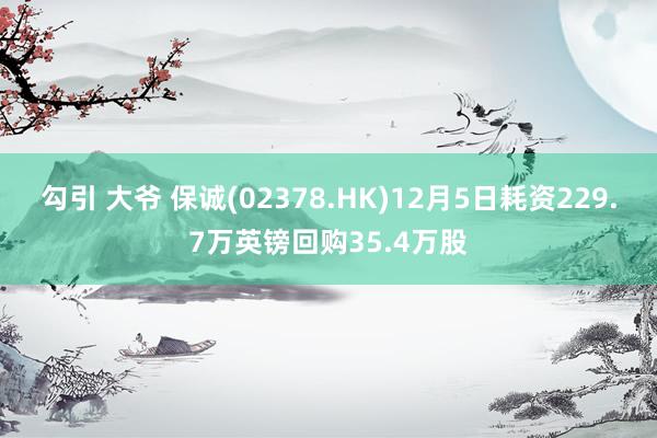 勾引 大爷 保诚(02378.HK)12月5日耗资229.7万英镑回购35.4万股