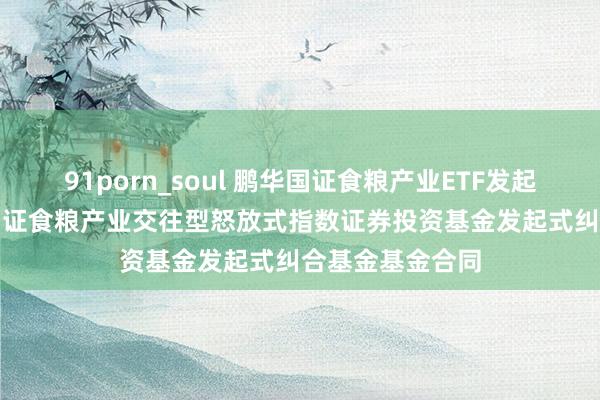 91porn_soul 鹏华国证食粮产业ETF发起式纠合I: 鹏华国证食粮产业交往型怒放式指数证券投资基金发起式纠合基金基金合同