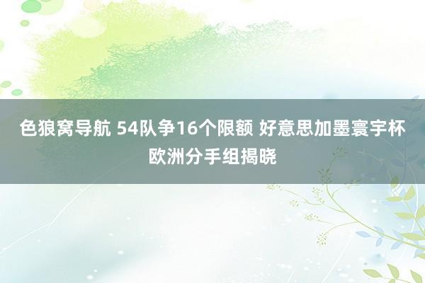 色狼窝导航 54队争16个限额 好意思加墨寰宇杯欧洲分手组揭晓