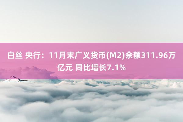 白丝 央行：11月末广义货币(M2)余额311.96万亿元 同比增长7.1%