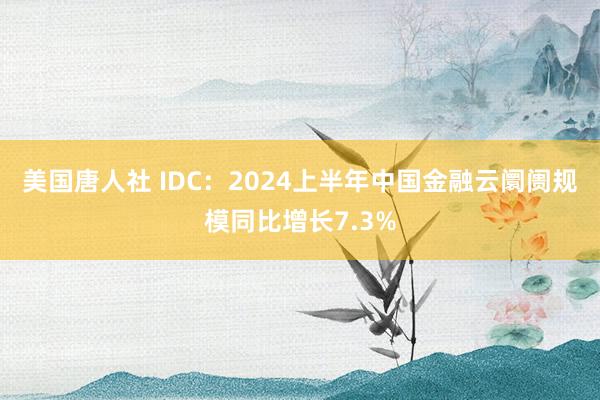 美国唐人社 IDC：2024上半年中国金融云阛阓规模同比增长7.3%