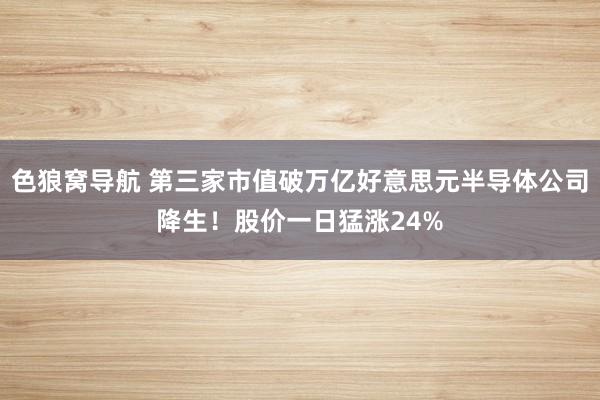 色狼窝导航 第三家市值破万亿好意思元半导体公司降生！股价一日猛涨24%