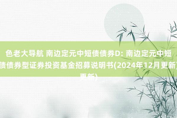 色老大导航 南边定元中短债债券D: 南边定元中短债债券型证券投资基金招募说明书(2024年12月更新)