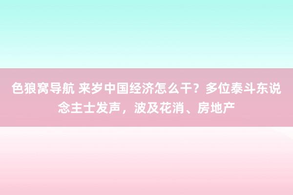 色狼窝导航 来岁中国经济怎么干？多位泰斗东说念主士发声，波及花消、房地产