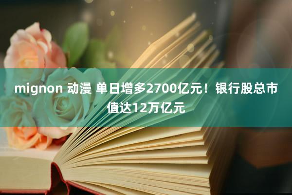 mignon 动漫 单日增多2700亿元！银行股总市值达12万亿元