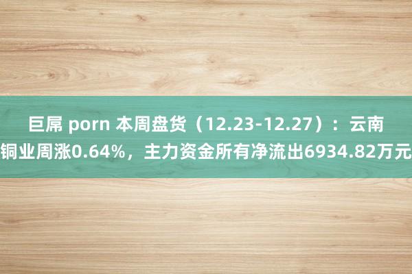 巨屌 porn 本周盘货（12.23-12.27）：云南铜业周涨0.64%，主力资金所有净流出6934.82万元