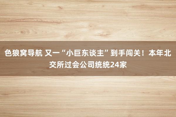 色狼窝导航 又一“小巨东谈主”到手闯关！本年北交所过会公司统统24家