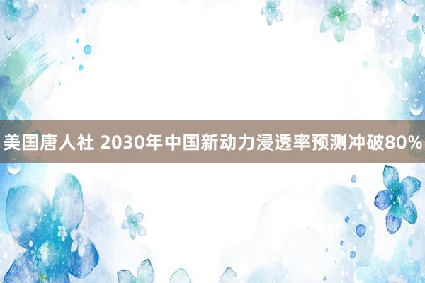 美国唐人社 2030年中国新动力浸透率预测冲破80%