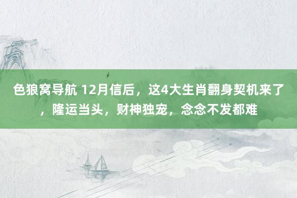 色狼窝导航 12月信后，这4大生肖翻身契机来了，隆运当头，财神独宠，念念不发都难