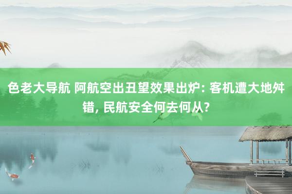 色老大导航 阿航空出丑望效果出炉: 客机遭大地舛错， 民航安全何去何从?