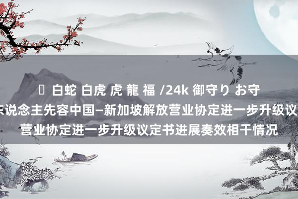 ✨白蛇 白虎 虎 龍 福 /24k 御守り お守り 商务部外洋司负责东说念主先容中国—新加坡解放营业协定进一步升级议定书进展奏效相干情况