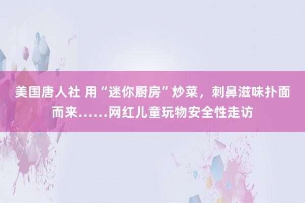 美国唐人社 用“迷你厨房”炒菜，刺鼻滋味扑面而来……网红儿童玩物安全性走访