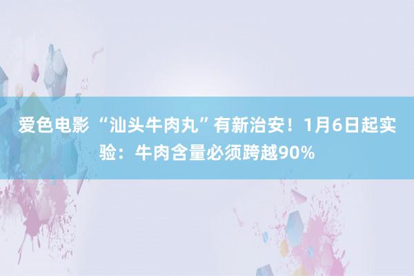 爱色电影 “汕头牛肉丸”有新治安！1月6日起实验：牛肉含量必须跨越90%