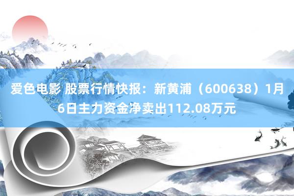 爱色电影 股票行情快报：新黄浦（600638）1月6日主力资金净卖出112.08万元