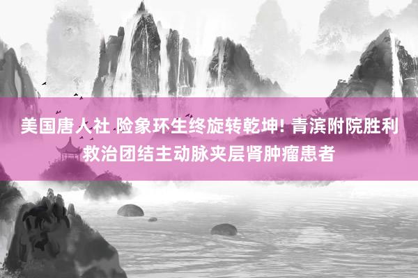 美国唐人社 险象环生终旋转乾坤! 青滨附院胜利救治团结主动脉夹层肾肿瘤患者