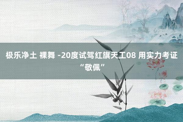 极乐净土 裸舞 -20度试驾红旗天工08 用实力考证“敬佩”