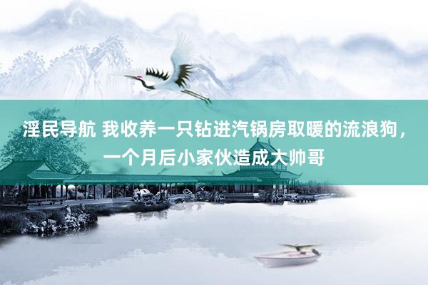 淫民导航 我收养一只钻进汽锅房取暖的流浪狗，一个月后小家伙造成大帅哥