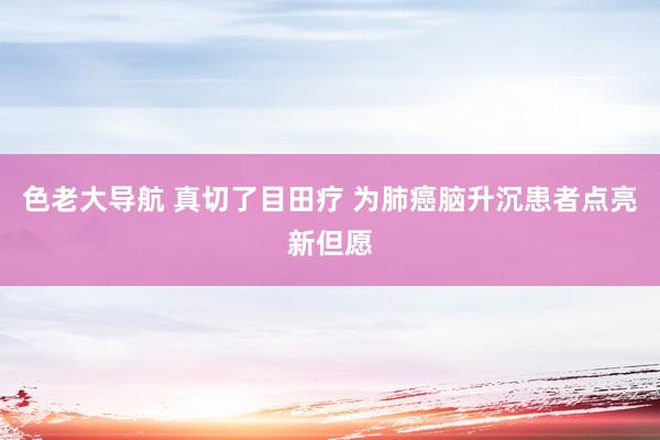 色老大导航 真切了目田疗 为肺癌脑升沉患者点亮新但愿