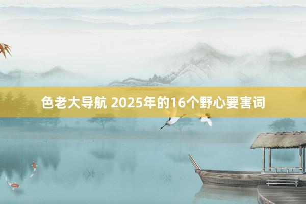 色老大导航 2025年的16个野心要害词