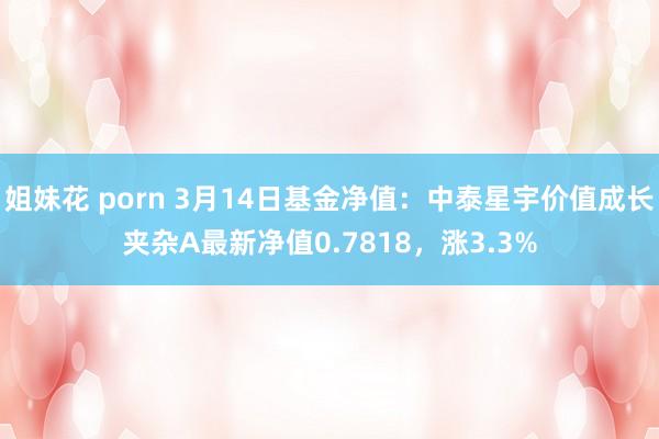 姐妹花 porn 3月14日基金净值：中泰星宇价值成长夹杂A最新净值0.7818，涨3.3%