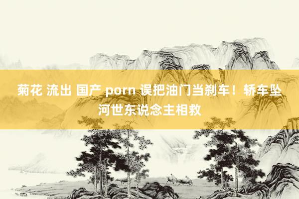 菊花 流出 国产 porn 误把油门当刹车！轿车坠河世东说念主相救