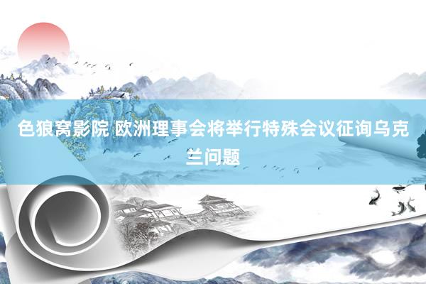 色狼窝影院 欧洲理事会将举行特殊会议征询乌克兰问题