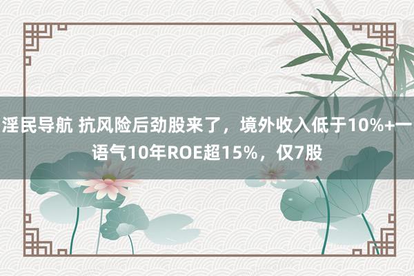 淫民导航 抗风险后劲股来了，境外收入低于10%+一语气10年ROE超15%，仅7股