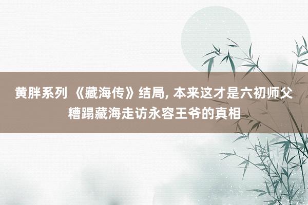 黄胖系列 《藏海传》结局, 本来这才是六初师父糟蹋藏海走访永容王爷的真相